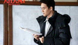 圈内小师姐爆料王凯,圈内小师姐独家爆料，揭秘神秘幕后故事