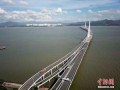 粤港澳大湾区新闻爆料,最新动态与热点事件盘点