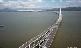 粤港澳大湾区新闻爆料,最新动态与热点事件盘点