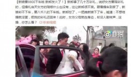 吃瓜被踹二十一脚小说免费阅读,一场意外的爱情冒险