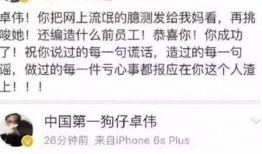 卓伟爆料陈廷伟视频播放,真相与舆论的碰撞