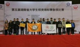 新闻爆料营南汇,揭秘新闻爆料背后的故事与真相