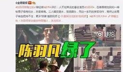卓伟爆料陈廷伟视频播放,真相与舆论的碰撞