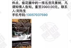 网友爆料免费网站视频