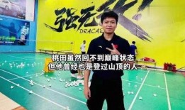 杨晨大神爆料结婚视频,幸福瞬间感动网友