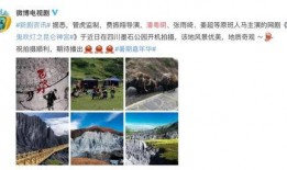 甘孜网红爆料事件视频播放,揭秘事件背后真相