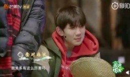 王源最新的爆料是什么,娱乐圈背后的故事