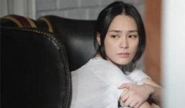 阿娇爆料陈浩民视频播放,真相与争议