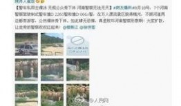 河南鲁山爆料最新消息,火灾事故引发社会关注