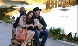 心花路放bt在线观看,一场心灵的释放之旅