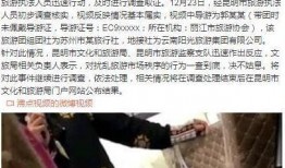 导游紫砂爆料视频,导游揭秘紫砂壶背后的传奇故事