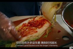 酸菜饱饱爆料涂磊原视频