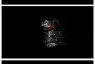 最新爆料文字特效视频下载,文字特效视频下载攻略全解析