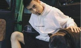 二狗最新爆料,揭秘娱乐圈惊人内幕