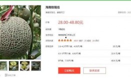 娱乐圈吃瓜文献迅雷下载,迅雷下载背后的吃瓜风云