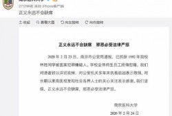 南京学生爆料案件视频曝光,真相揭开，正义终将到来