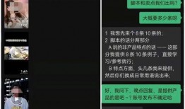 爆料讽刺短视频文案素材,讽刺短视频背后的爆料风云