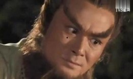 人龙传说在线观看,穿越时空的奇幻之旅