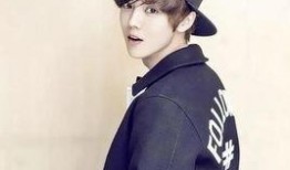 网友爆料顶替鹿晗视频在线观看,在线观看引发热议