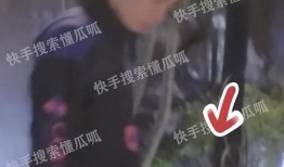狗仔爆料许沁视频大全,许沁视频大全大曝光