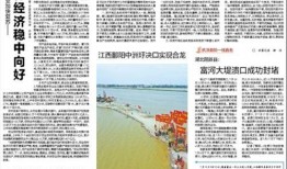 海南经济报彩图最新爆料,揭秘海南最新经济动态与热点