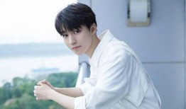 爱豆吃瓜娱乐酱王俊凯,从偶像到瓜界新贵，揭秘爱豆吃瓜娱乐酱的养成之路