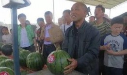 千佛山娱乐团队吃瓜群众