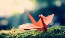 千纸鹤最新爆料视频大全