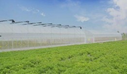 农场最新爆料,最新爆料揭示农业产业变革新动向