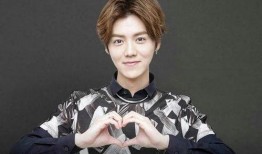 明星爆料鹿晗徐凯视频播放,揭秘幕后故事与精彩瞬间