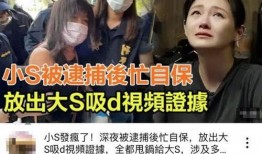 大s爆料完整视频,事件全貌深度解析