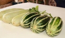 06年网红吃瓜,揭秘网络红人的崛起与争议