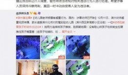 石家庄幼师爆料视频大全,揭秘幼教行业背后的真相