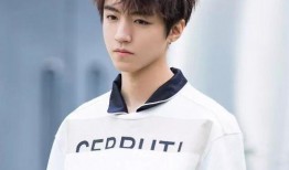 爱豆吃瓜娱乐酱王俊凯,从偶像到瓜界新贵，揭秘爱豆吃瓜娱乐酱的养成之路