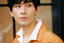 圈内制片人爆料成毅,圈内制片人揭秘，实力派演员背后的故事