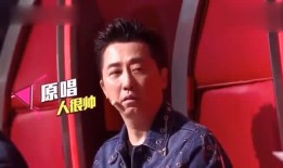 李健中国好声音爆料视频,独家爆料引热议
