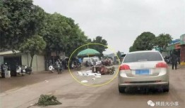 莲塘路最新爆料事件,揭秘事件背后惊人真相