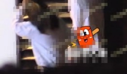 刘大锤爆料不可塌房视频,揭秘不可塌房视频背后的真相