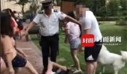 网友爆料遛狗视频大全