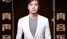 李健中国好声音爆料视频,独家爆料引热议