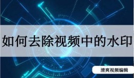 娱乐爆料视频水印模板,水印模板背后的秘密大公开！