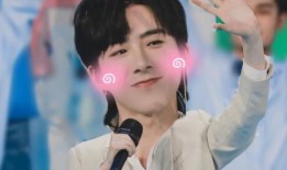 刘宇宁爆料热剧视频,一场惊心动魄的爆料大戏