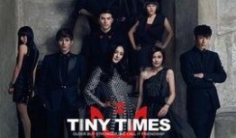 12王子泰剧在线观看,浪漫奇幻之旅，在线观看开启甜蜜冒险