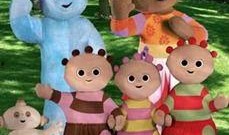 花园宝宝 在线观看,奇幻乐园在线畅游之旅