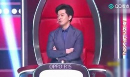 李健中国好声音爆料视频,独家爆料引热议