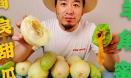 网红吃瓜评论怎么写,揭秘娱乐圈幕后真相