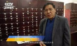 中医高手爆料视频,传承千年养生智慧