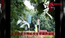 白夜追杀在线观看,暗夜猎手，复仇之路