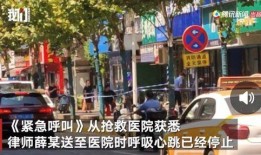 长春爆料生态大街事件视频,真相与争议交织