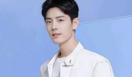 知名人爆料肖战事件视频,揭秘事件背后真相与争议